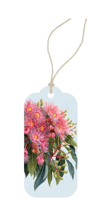 Gift Tag - Summer Gumflowers