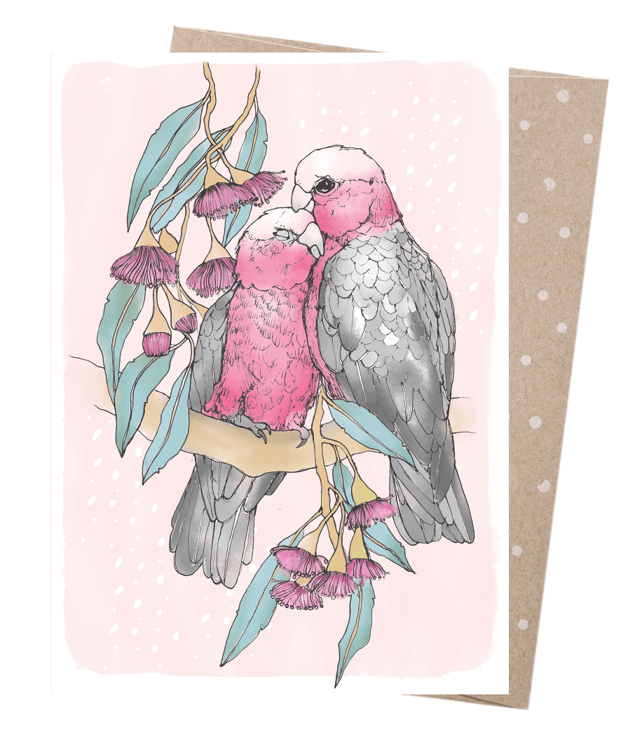 Baby Galah Greeting Card Baby Galah Greeting Card
