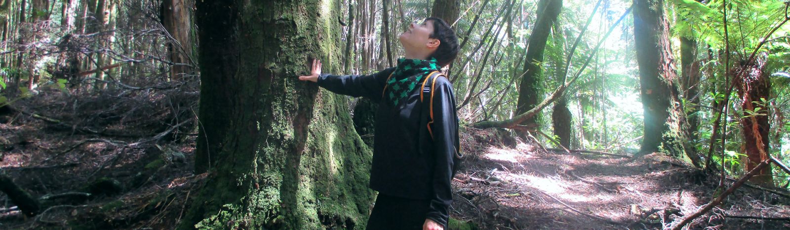Earth Greetings founder Heide Hackworth in Tasmania's Tarkine forest.