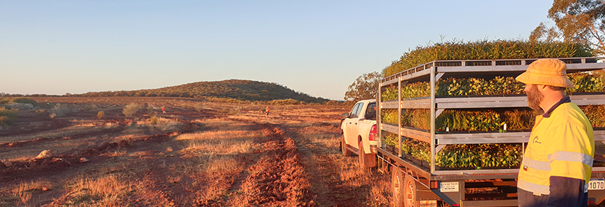 The Yarra Yarra Biodiversity Corridor. Photo: Carbon Neutral