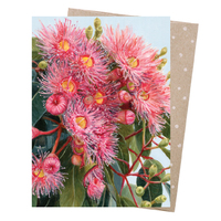 Greeting Card - Summer Gumflowers