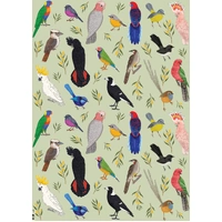 Flat Wrapping Paper - Iconic Birds of Australia